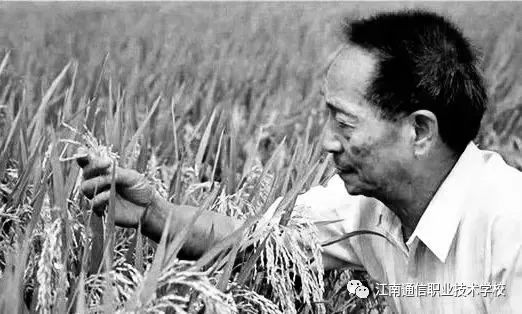 岳陽市江南通信職業(yè)技術(shù)學(xué)校,岳陽江南學(xué)校,岳陽江南通信學(xué)校,岳陽職業(yè)學(xué)校 岳陽市江南通信職業(yè)技術(shù)學(xué)校,岳陽江南學(xué)校,岳陽江南通信學(xué)校,岳陽職業(yè)學(xué)校